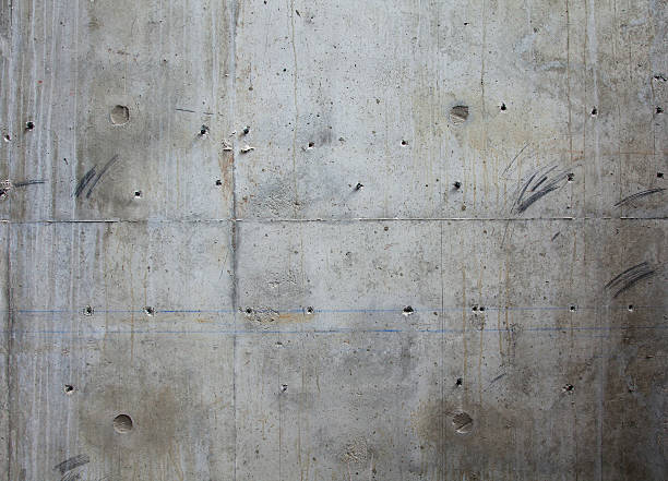 Best Commercial Concrete Contractor  in Vamo, FL